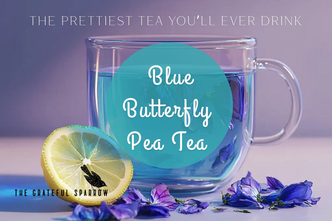 Blue Butterfly Pea Tea: The Stunning Brew with Big Benefits